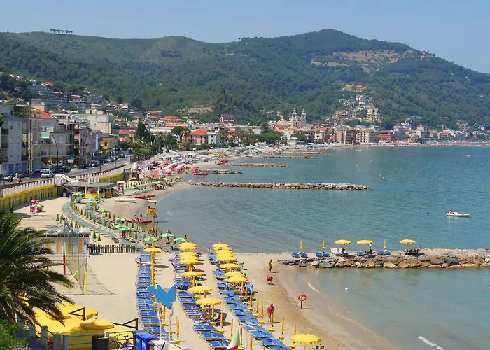 Ala - Le Conchiglie Di Grace - Happy *